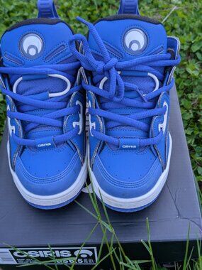 Osiris D3 E Men's/Boy's Sneakers